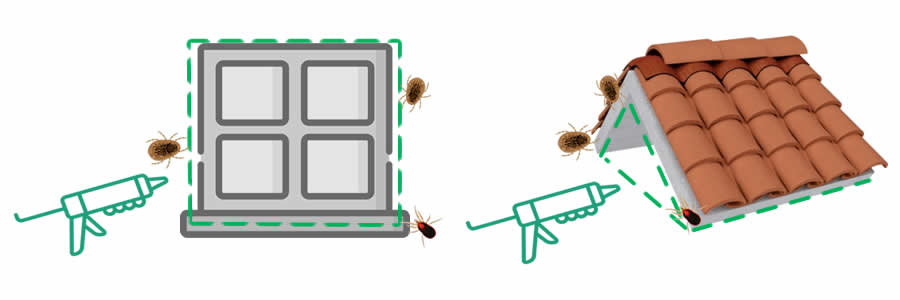 Come proteggersi dalle zecche del piccione